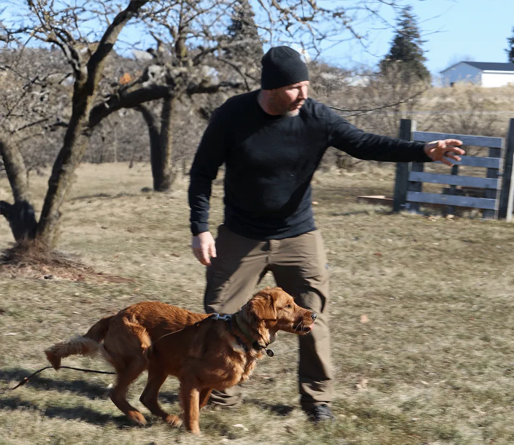 Brandon training golden retriever, Raya, to follow pointing and fetch.